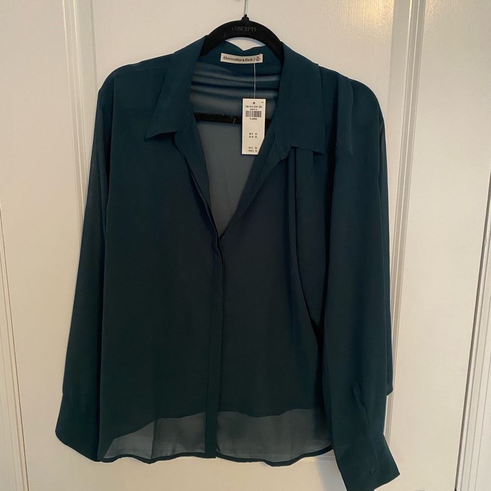 Abercrombie Sheer Collared Button Down Shirt XL Green Blue